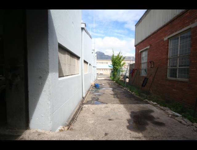 481M² FACTORY TO LET IN PAARDEN EILAND